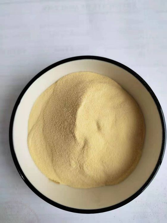 Bitter Gourd Peptide Powder